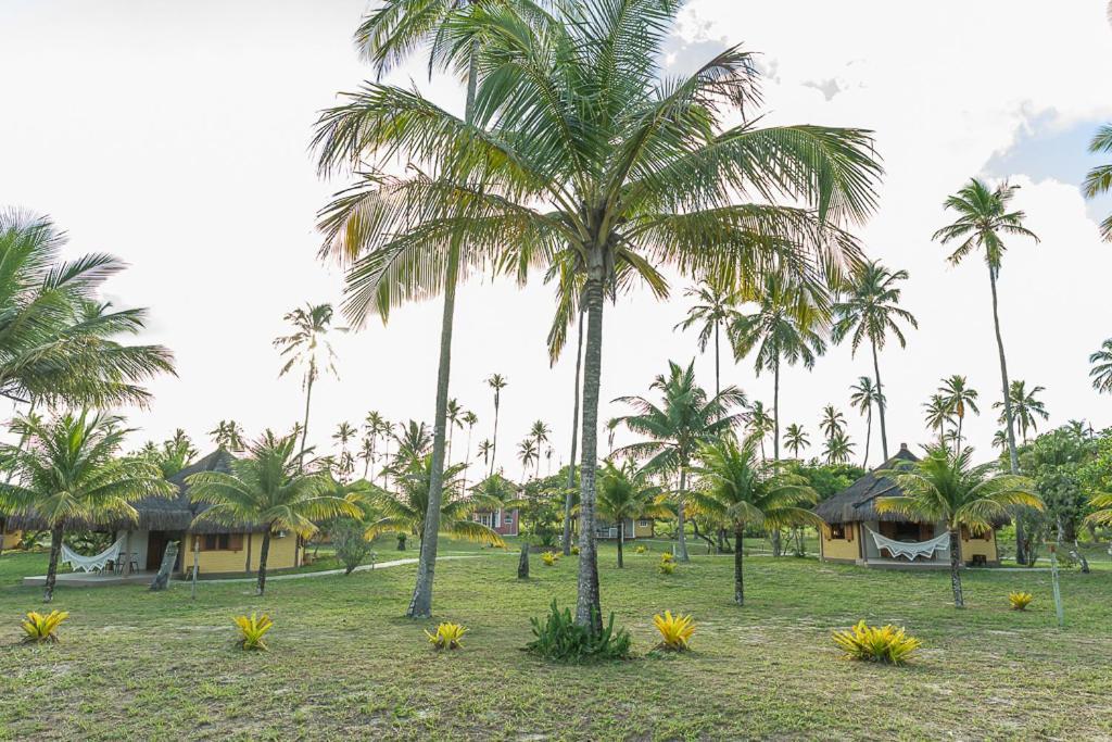 Jocotoka Village - Ponta Do Corumbau Bagian luar foto